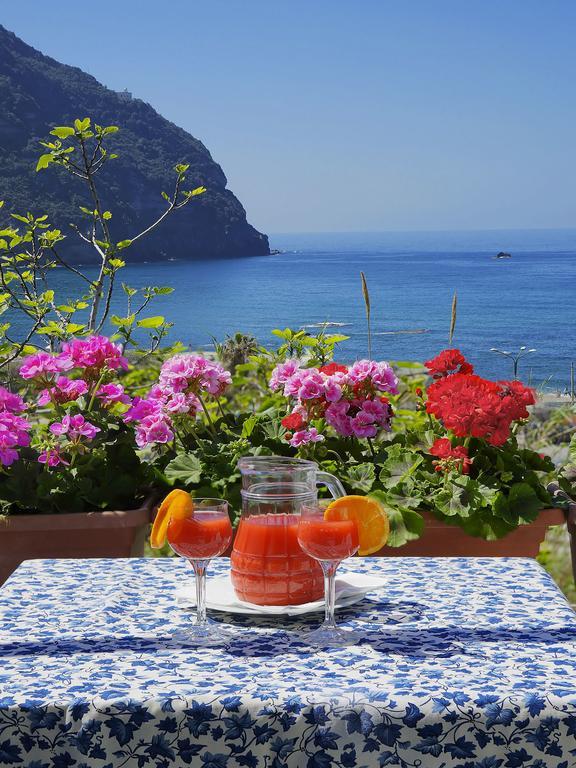 Hotel Casa Del Sole Forio di Ischia Exterior foto